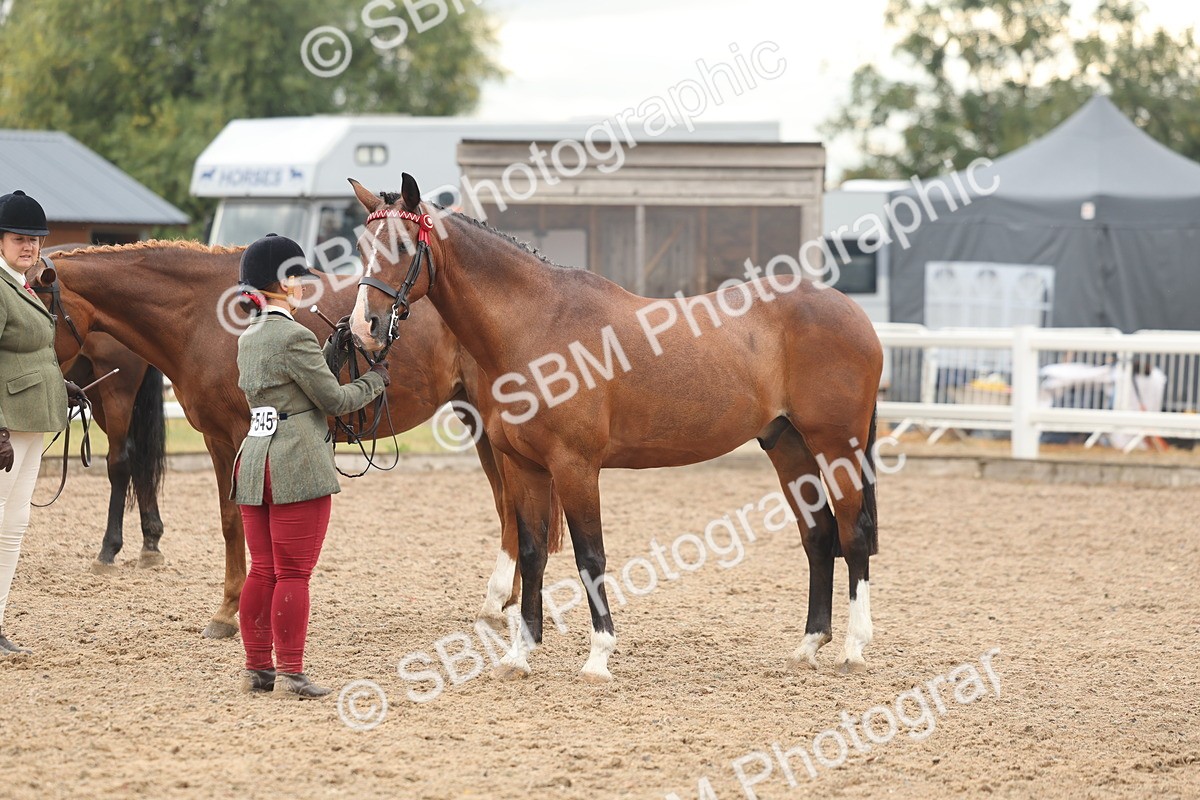 SBM_07773 - Class 27 - IH Competition Horse/Pony