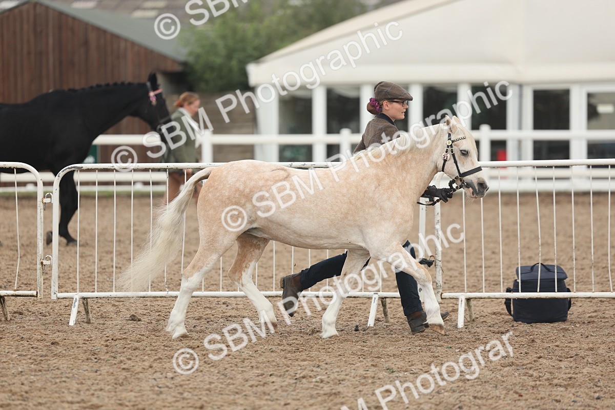 SBM_08449 - Class 29 - IH Veteran Pony