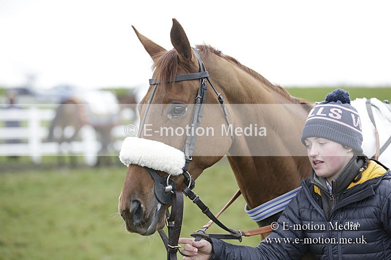 PtP 150320 0543 - New Forest Point-to-Point Larkhill 15/03/20