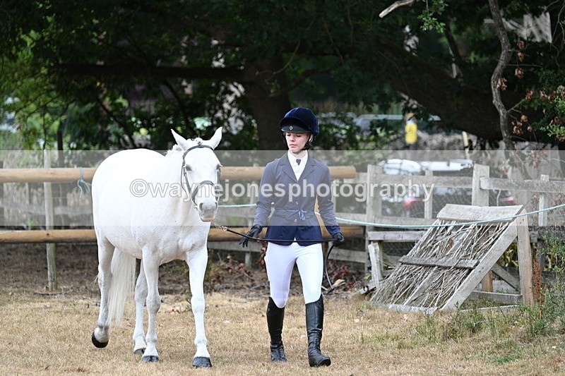 WJ7_8667 - Class 4a Prettiest Mare 14.2hh and over