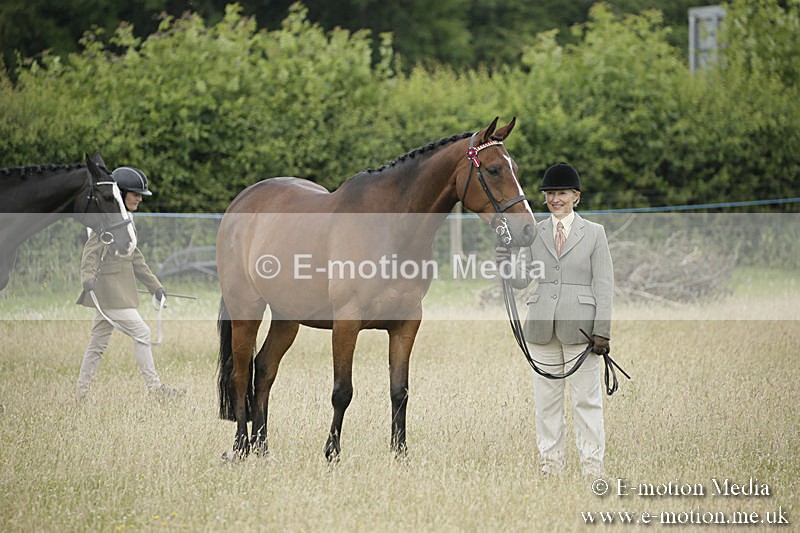 B230619-0280 - Bourne Valley Riding Club Summer Show 23/06/19