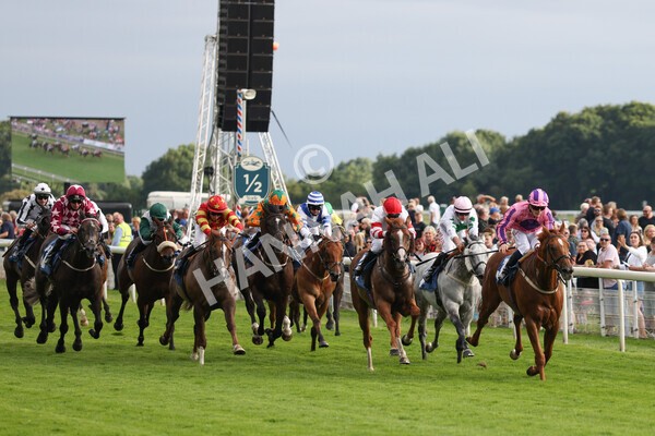 yr23072021r2-19 - Race 2 6.30pm IRE-Incentive It Pays To Buy Irish Stakes