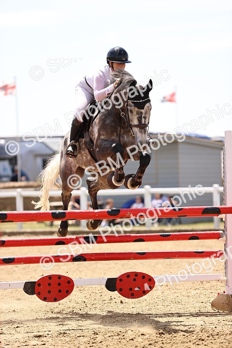 SBM_010269 - Class 9 - Senior Foxhunter - 1.20m Open