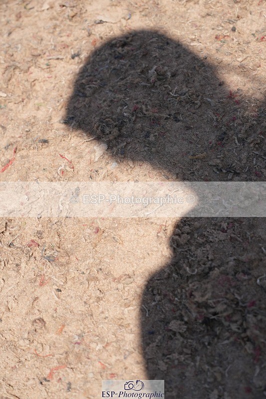 250712-142340-01210 - Cls 4 Big Pony Team