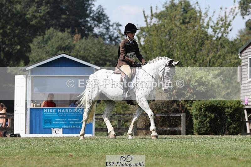 250823A-131837-31274 - Arena D