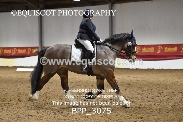 BPP_3075 - ELEM TEST 6