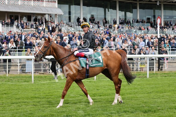 yr13052022r4-92 - Race 4 3.35pm The Paddy Power Yorkshire Cup (British Champions Series Race)