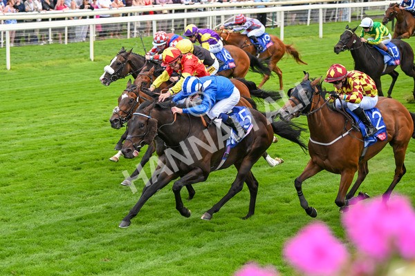 260725-Race 2-Elmonjed-7254 - Race 2 2.00pm Sky Bet Dash Handicap