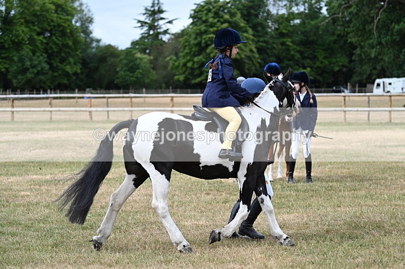 WJ7_9784 - Class 1 Lead Rein Pony