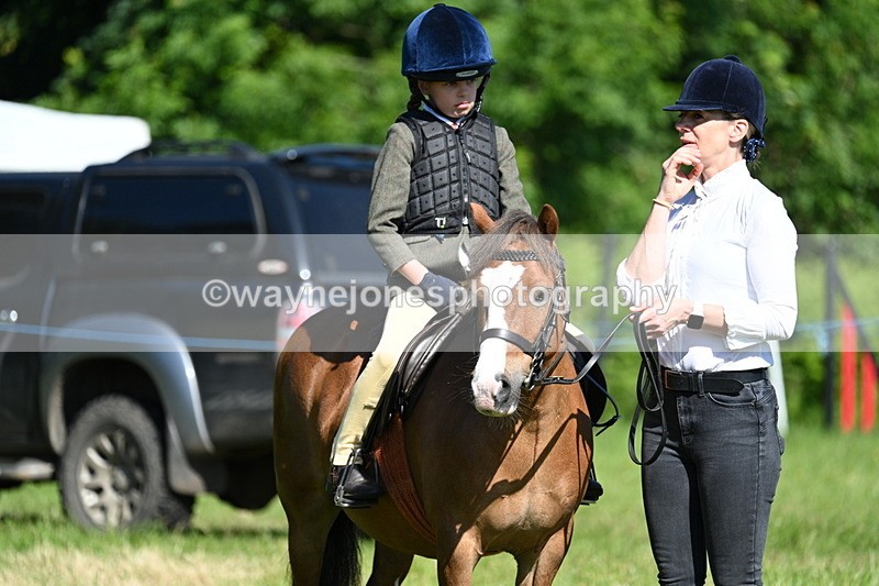 WJ7_0410 - Class 8 First Rally Pony