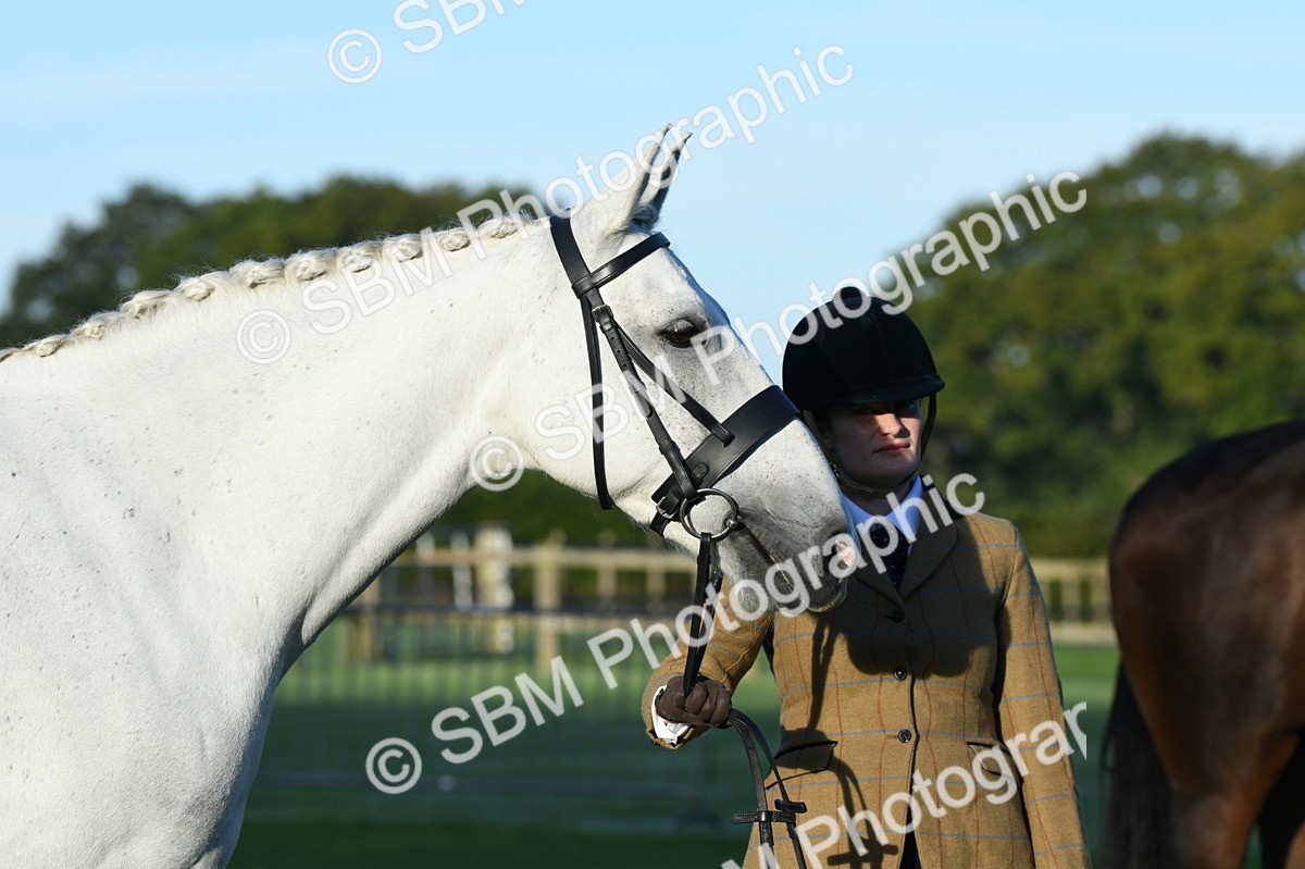 SBM_32639 - S15 - Condition & Turnout In Hand
