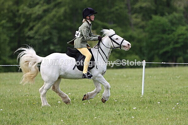 IMG_2658 - Working Hunter