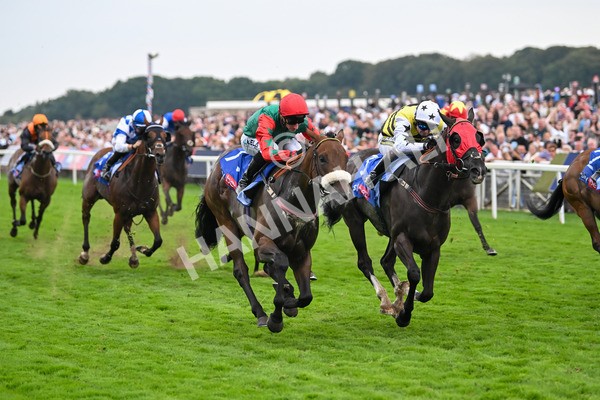 230825-Race 5-Northern Ticker-0757 - Race 5 4.10pm Sky Bet Constantine Handicap
