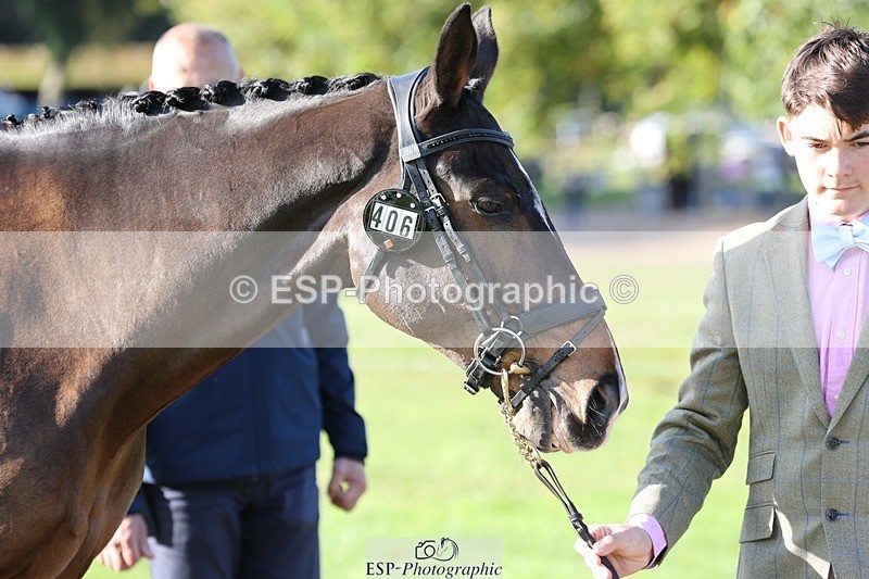 241027-100754-15710 - 406-Harvey.Crocker-THE.NIGHT.TRAVELLER