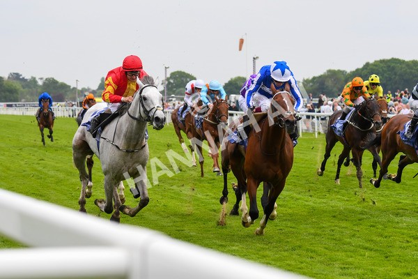 180523-Race 4-The Foxes-0534 - Race 4 3.35pm Al Basti Equiworld Dubai Dante Stakes