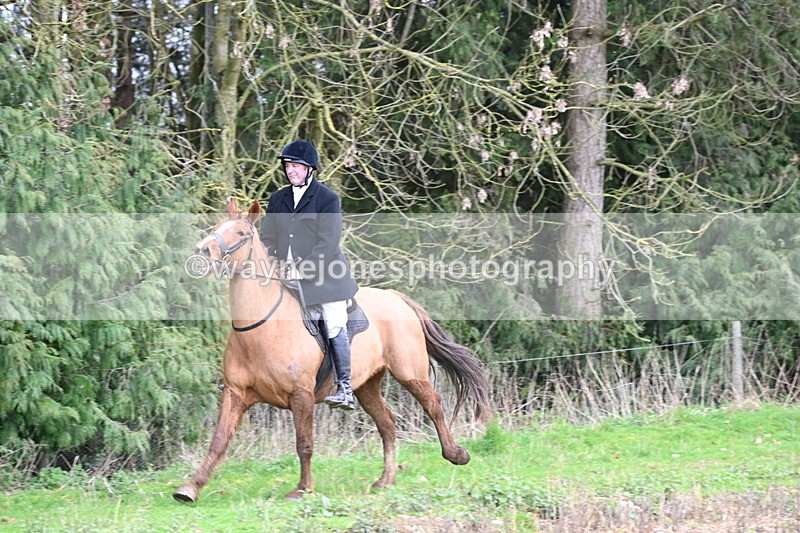 WJ6_9496 - Line Four