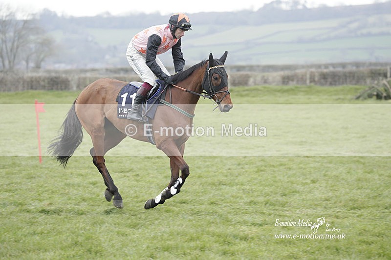 PtP 050323 823 - Blackmore & Sparkford Vale Hunt PtP - Somerset 05/03/23