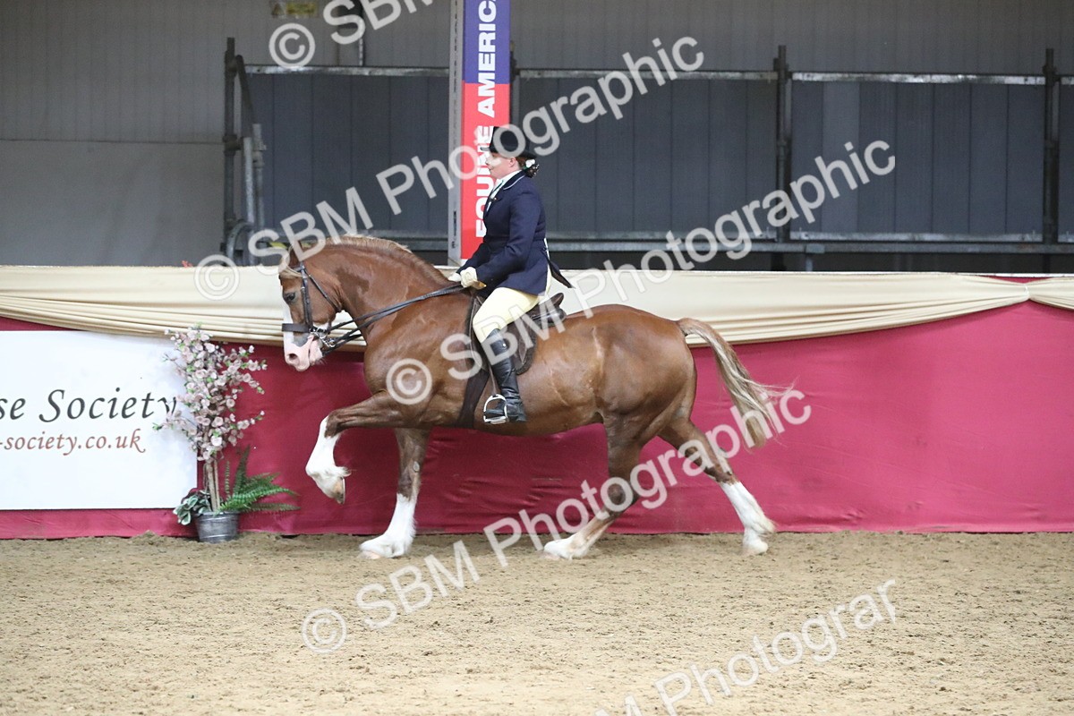SBM_16383 - Class 502 M&M Ridden Supreme Final