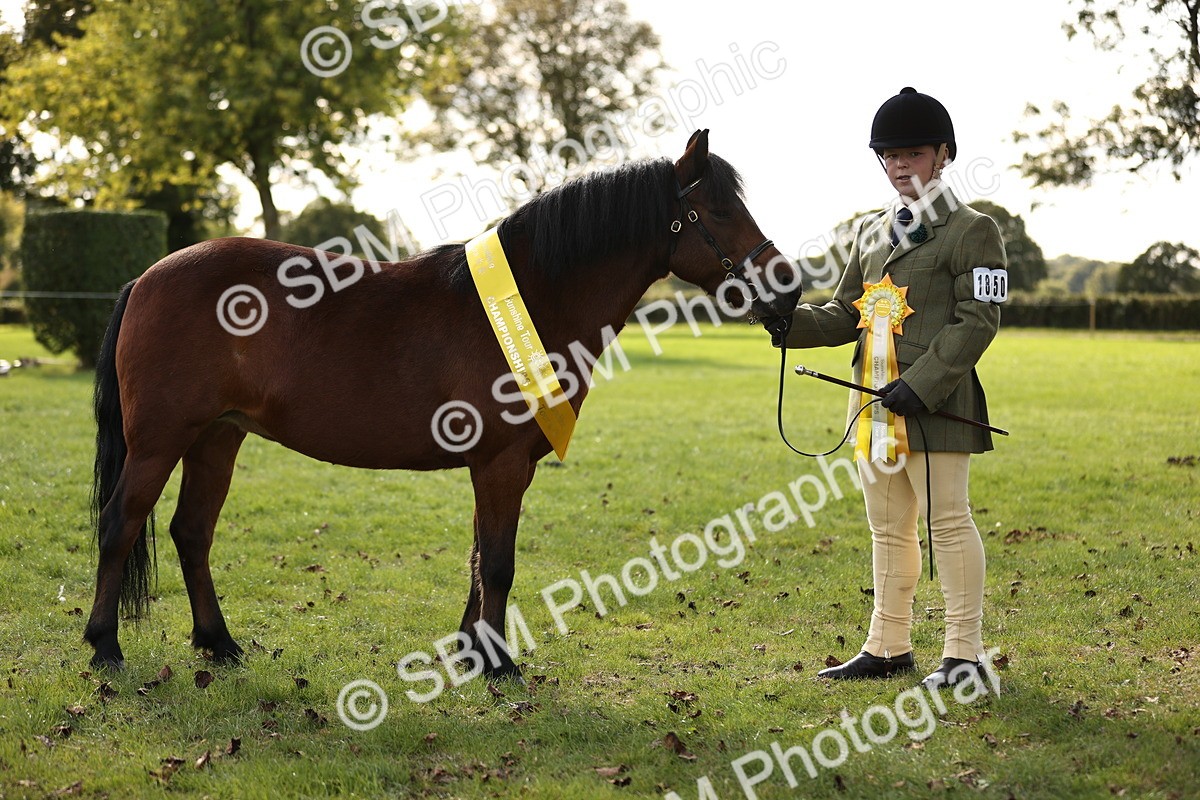SBM_26279 - S5 - Novice & Newcomers In Hand