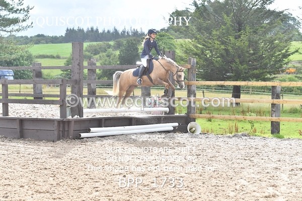 BPP_1733 - DERBY CLASS 4 - 50CM