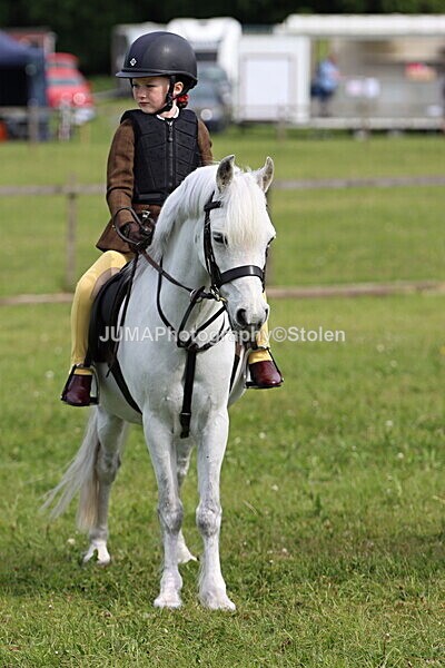 IMG_2286 - Working Hunter