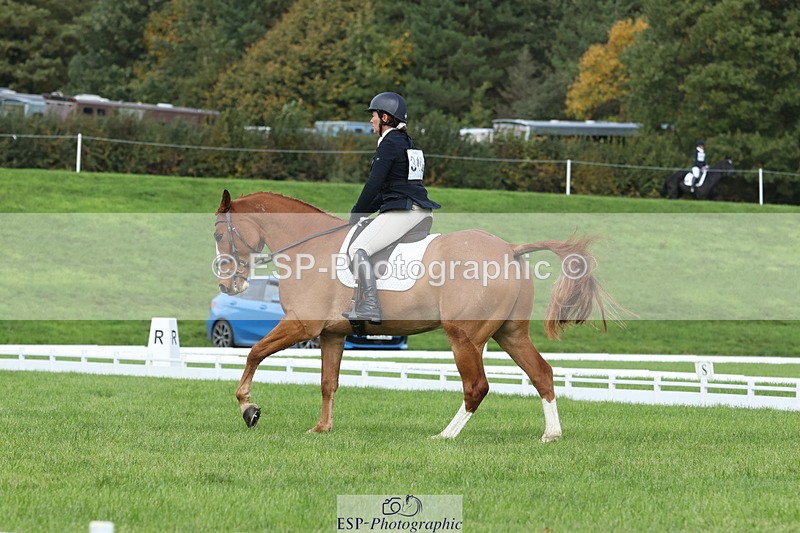 251023A-105023-03242 - D-310-Emily.R.Vincent