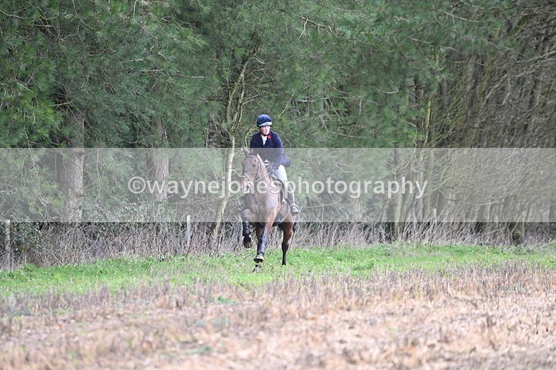 WJ6_9436 - Line Four