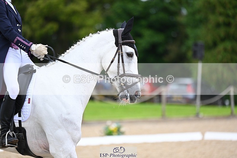 240524-133907-09615 - 160-WESTWOOD_II-Tara_Kay