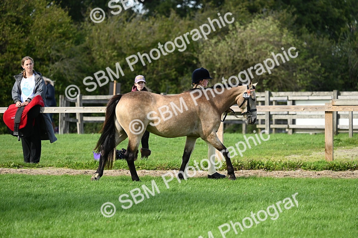 SBM_24949 - S5 - Novice & Newcomer In hand