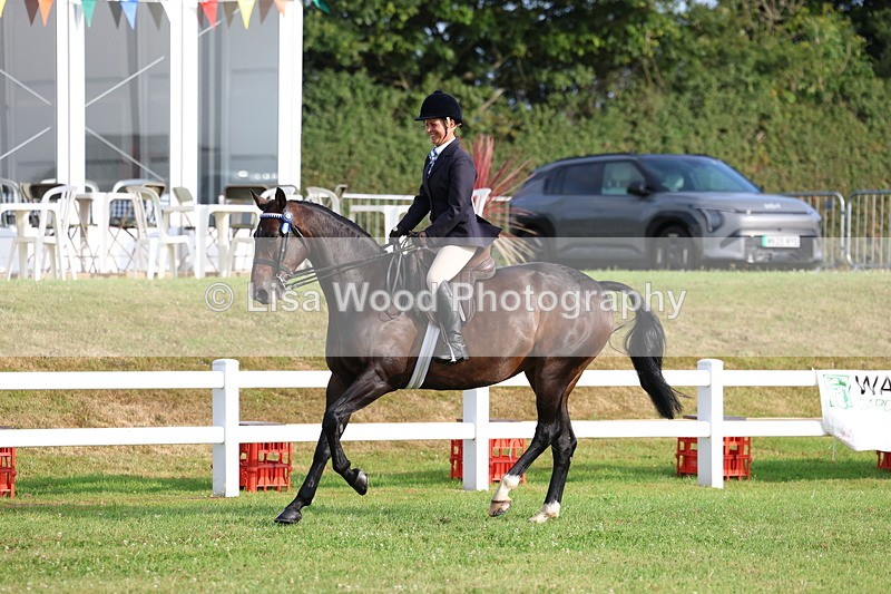 3E7A7732 - Class 1: Rising Star Small Hack/Riding Horses