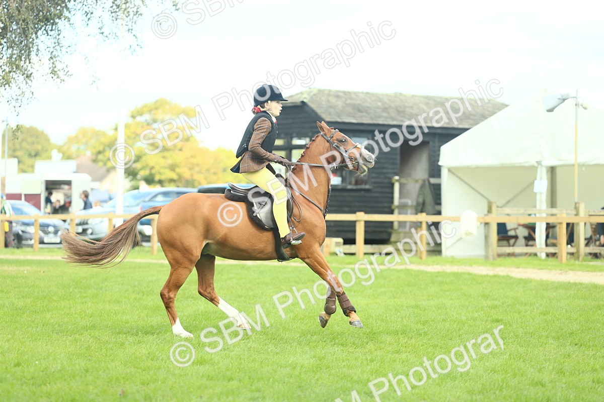 SBM_44635 - S31 - Working Hunter Pony