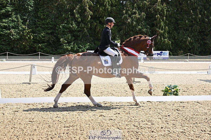 250810A-123848-06546 - Intermediate I SILVER Presentations