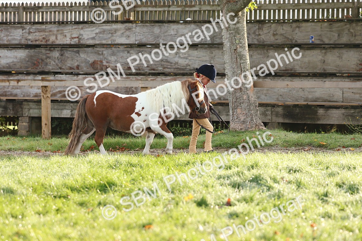 SBM_54739 - S39 - Starters In Hand Showing