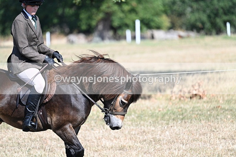 WJ7_3480 - Class 9 Mountain & Moorland Ridden