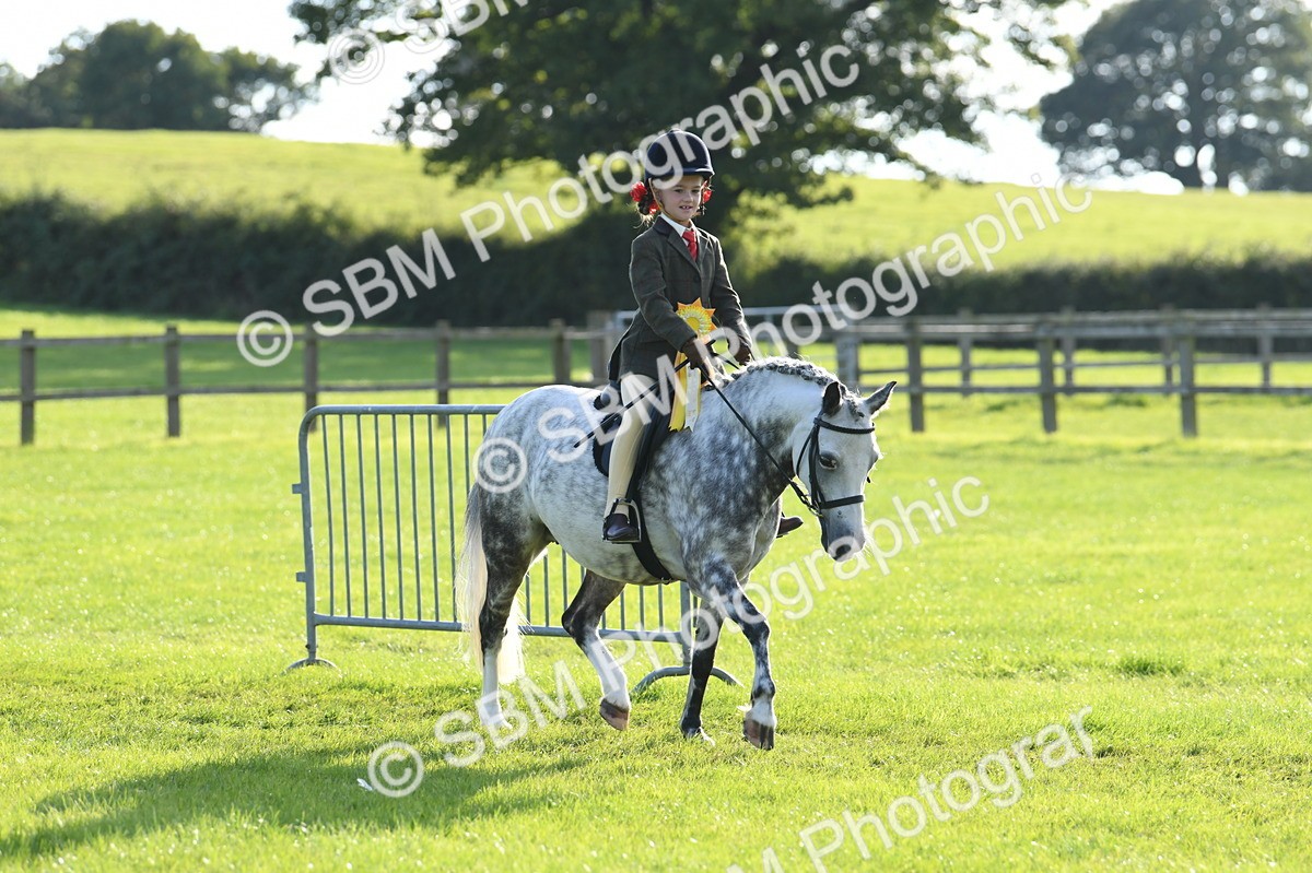 SBM_52473 - S22 - 1st Ridden Show & Show Hunter Pony