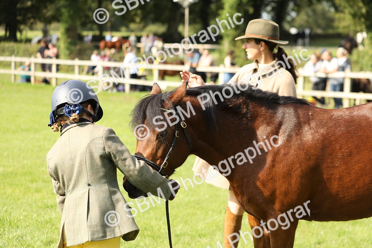 SBM_68587 - S40 - Junior Handler 9-12 Years