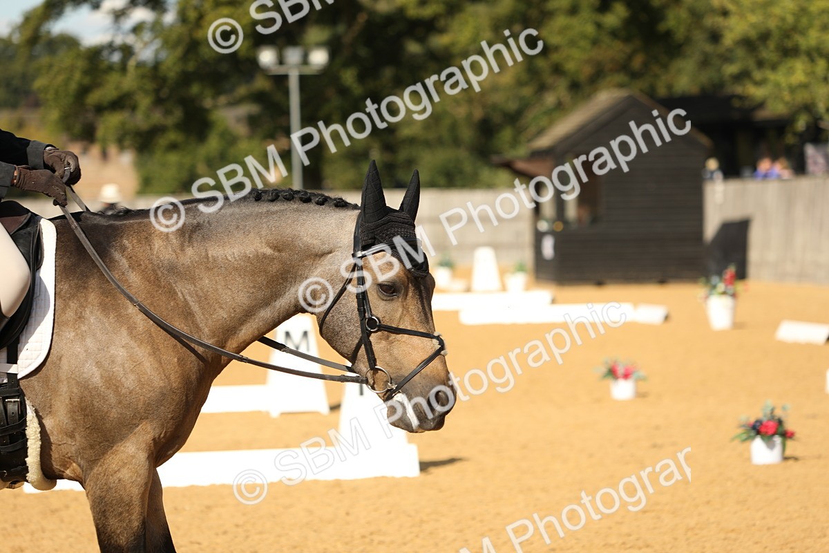 SBM_26617 - D17 - Grand Tour Championship - Novice 27