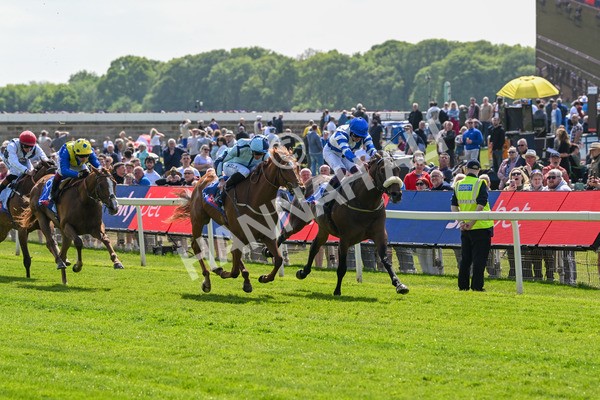 140525-Race 1-Almoshher-1572 - Race 1 2.10pm Sky Bet Race To The Ebor Jorvik Handicap