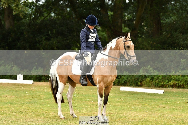 250820A-125244-05683 - 12 to 13.00