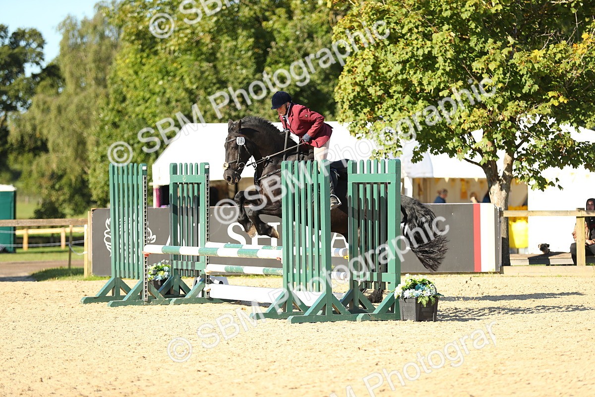 SBM_16604 - J33 - Senior 75cm Championship