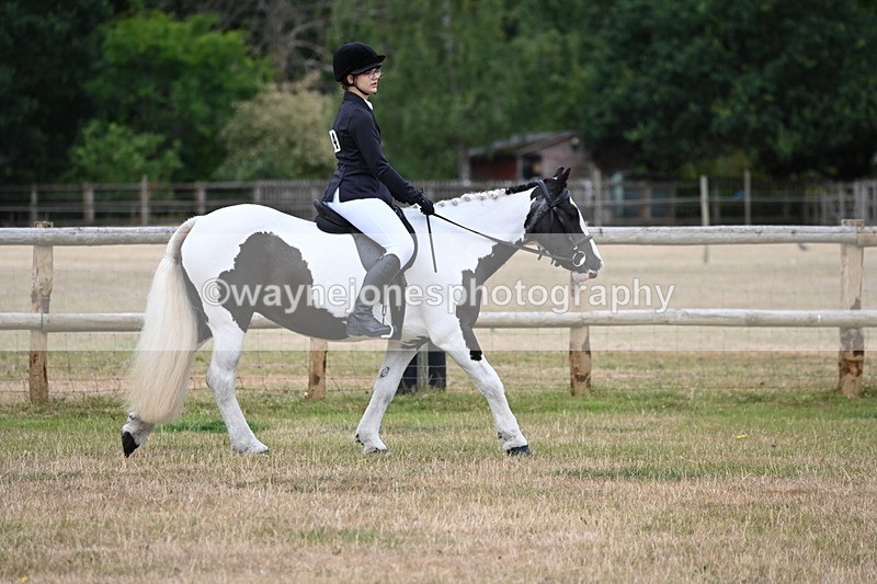 WJ6_3737 - Class 9 Tack & Turnout