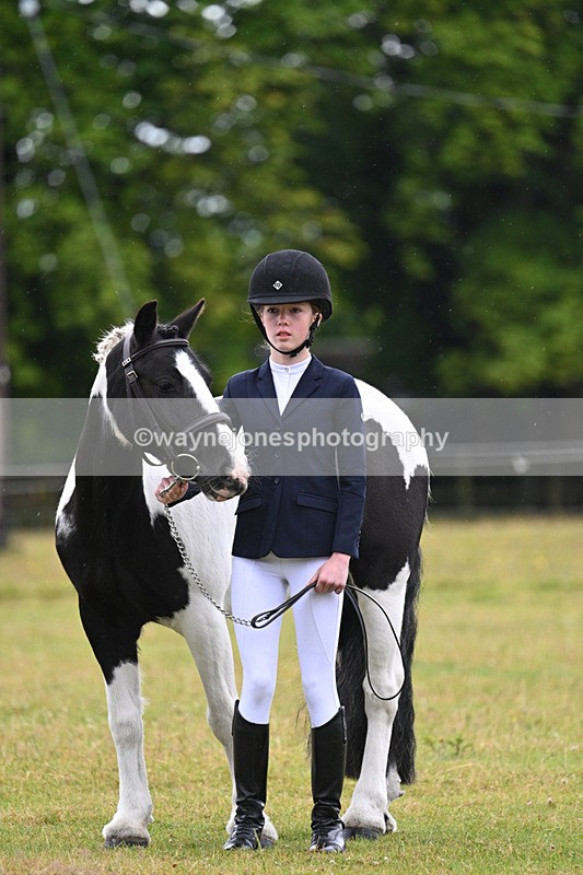 WJ7_5887 - Class 4 Prettiest Mare in Hand