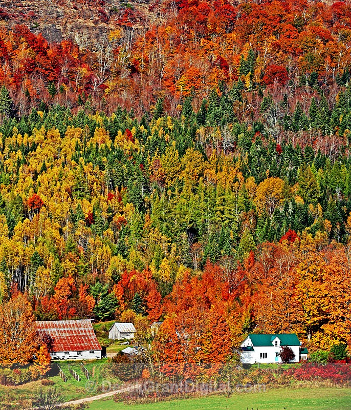 Autumn Foliage Waterford, New Brunswick