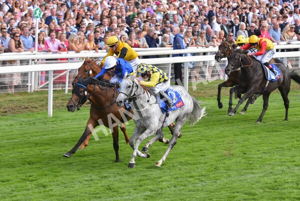 yr20082022r4-208 - Race 4 3.35pm Sky Bet Ebor