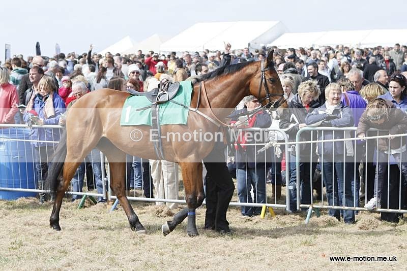  GRD 030510 13 - Guernsey Race Day 03/05/10