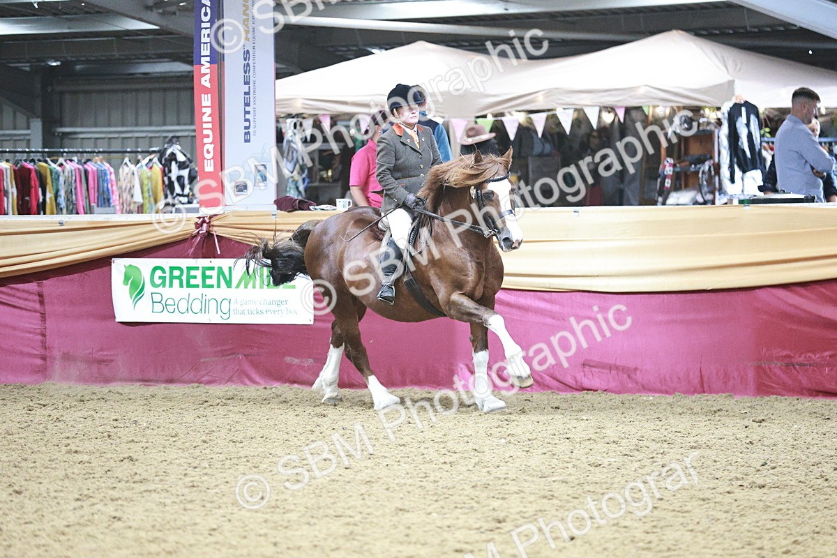SBM_08928 - Class 12R - Regional Ridden Pre-Vet