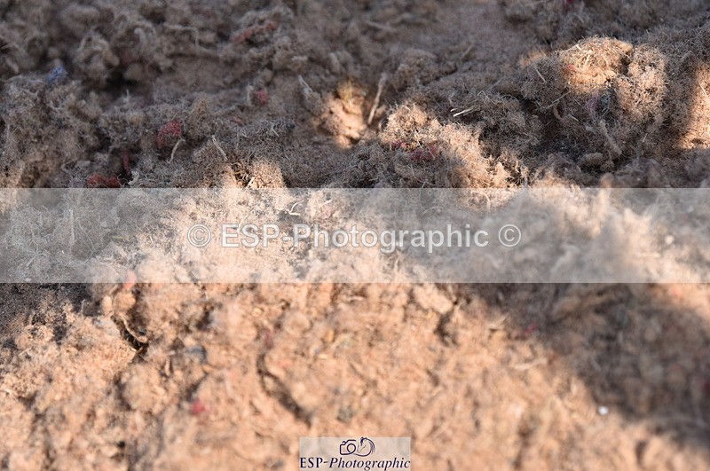 230606A-160217-00011 - 60cm