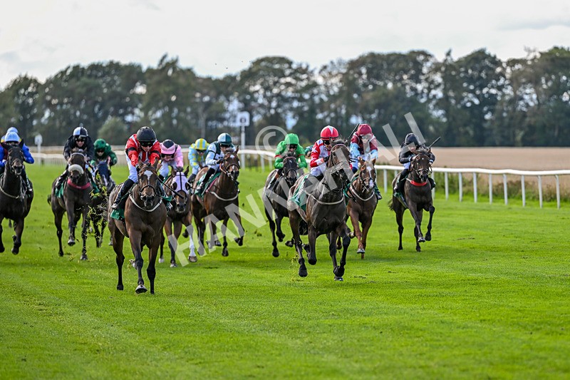 140926-Race 2-Bladey Lady-6793 - Race 2 2.51pm Patrick Hibbert-Foy Memorial Nursery Handicap