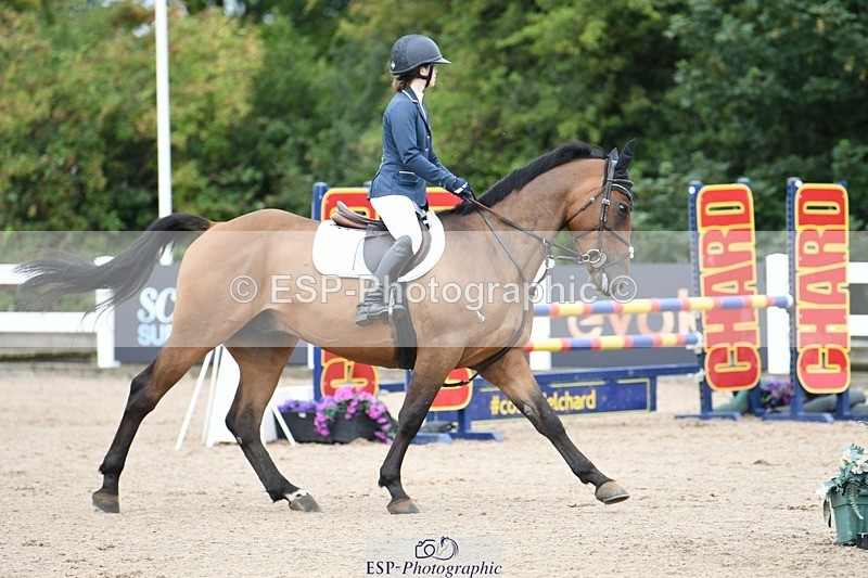 250803-084330-11627 - Cls 31 a&b British Novice & 90cm Open