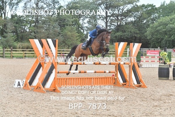 BPP_7873 - CLASS 14 SAT Senior Newcomers/ 1.10m Open